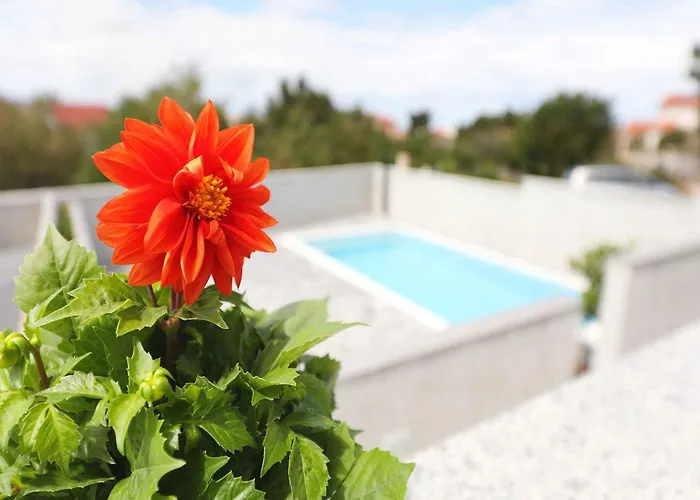 In Starigrad-paklenica 41220 *